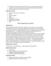 Lietuvių k. autoriai egzaminui 6 puslapis