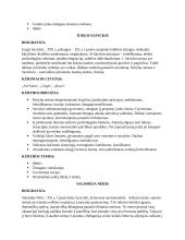 Lietuvių k. autoriai egzaminui 7 puslapis