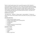 Lietuvių k. autoriai egzaminui 8 puslapis