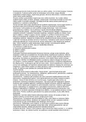 Auditas konspektas 2 puslapis