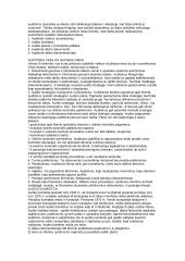 Auditas konspektas 11 puslapis