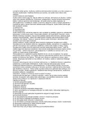 Auditas konspektas 3 puslapis