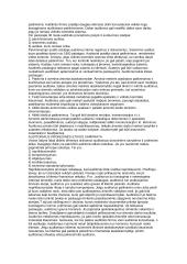 Auditas konspektas 5 puslapis