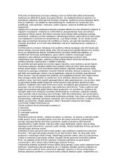 Auditas konspektas 6 puslapis