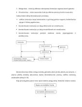Viešasis administravimas. Demokratija 9 puslapis