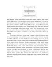 Viešasis administravimas. Demokratija 10 puslapis