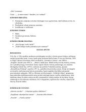 Autorių ir kūrinių konspektas 3 puslapis