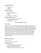 Autorių ir kūrinių konspektas 5 puslapis