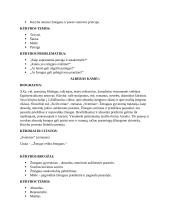 Autorių ir kūrinių konspektas 6 puslapis