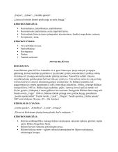 Konspektas iš 10 autorių 2 puslapis