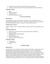 Konspektas iš 10 autorių 6 puslapis