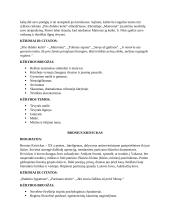 Konspektas iš 10 autorių 7 puslapis