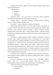 Viešbučiai 7 puslapis