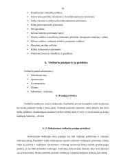 Viešbučiai 8 puslapis