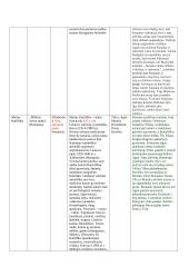 Lietuvių kalbos autorių konspektai 14 puslapis