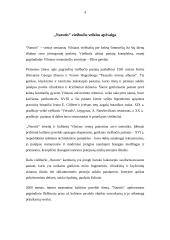 Viešbučio papildomų paslaugų teikimo analizė: "Narutis" 4 puslapis