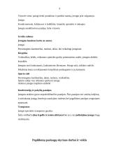 Viešbučio papildomų paslaugų teikimo analizė: "Narutis" 9 puslapis