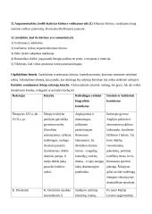 Odė jaunystei teksto suvokimas 2 puslapis