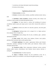 Viešbučio restoranas 12 puslapis