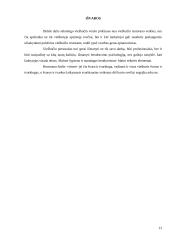 Viešbučio restoranas 13 puslapis