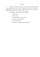 Viešbučio restoranas 3 puslapis