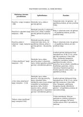 Viešbučio restoranas 6 puslapis