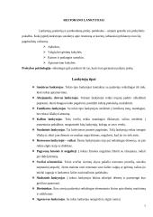 Viešbučio restoranas 7 puslapis