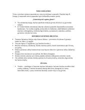 Tremties literatūra konspektas 2 puslapis