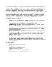 J. Kunčinas „Tūla“ 2 puslapis