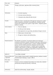 V. Kudirka lentelė 3 puslapis