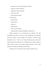 Viešbučių ir maitinimo įstaigų vietos parinkimas 11 puslapis