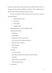 Viešbučių ir maitinimo įstaigų vietos parinkimas 10 puslapis