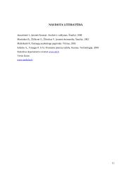 Viešbučių ir restoranų verslas Lietuvoje 11 puslapis