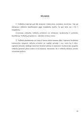 Viešbučių ir restoranų verslas Lietuvoje 10 puslapis