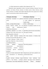 Viešojo ir privataus administravimo sektorių skirtumai 6 puslapis