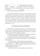 Viešojo ir privataus administravimo sektorių skirtumai 7 puslapis