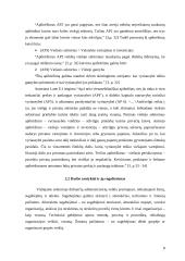 Viešojo ir privataus administravimo sektorių skirtumai 8 puslapis