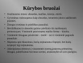 Alberas Kamiu (1913 – 1960 m.) 5 puslapis