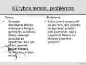 Antano Škėmos romano „Balta drobulė” pagrindiniai nagrinėjimo aspektai  11 puslapis