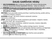 Antano Škėmos romano „Balta drobulė” pagrindiniai nagrinėjimo aspektai  16 puslapis