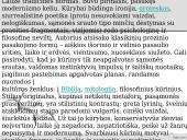 Antano Škėmos romano „Balta drobulė” pagrindiniai nagrinėjimo aspektai  17 puslapis