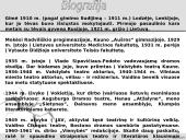 Antano Škėmos romano „Balta drobulė” pagrindiniai nagrinėjimo aspektai  5 puslapis