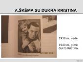 Antano Škėmos romano „Balta drobulė” pagrindiniai nagrinėjimo aspektai  6 puslapis