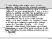 Antano Škėmos romano „Balta drobulė” pagrindiniai nagrinėjimo aspektai  8 puslapis