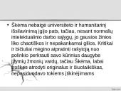 Antano Škėmos romano „Balta drobulė” pagrindiniai nagrinėjimo aspektai  9 puslapis