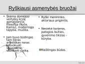 Antano Škėmos romano „Balta drobulė” pagrindiniai nagrinėjimo aspektai  10 puslapis