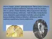 Antanas Škėma 1910–1961  6 puslapis