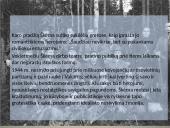 Antanas Škėma 1910–1961  8 puslapis