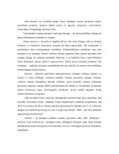 Vyresnio amžiaus žmonių gerovė 2 puslapis