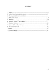 Vyriausybės veiklos įtaka verslo organizacijoms 2 puslapis